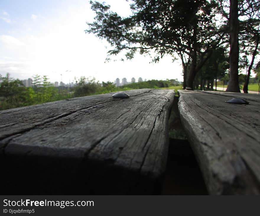 Road, Tree, Sky, Asphalt