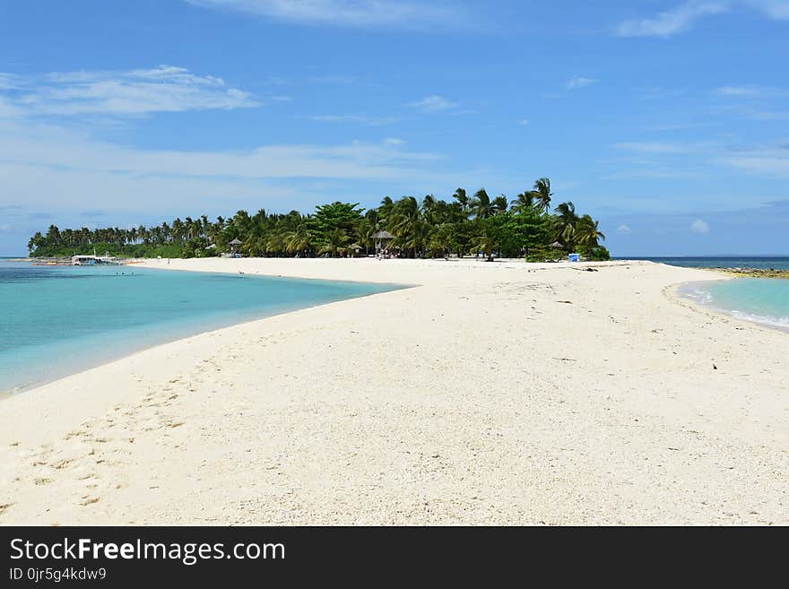 White Sandbars With Green Leaves Trees