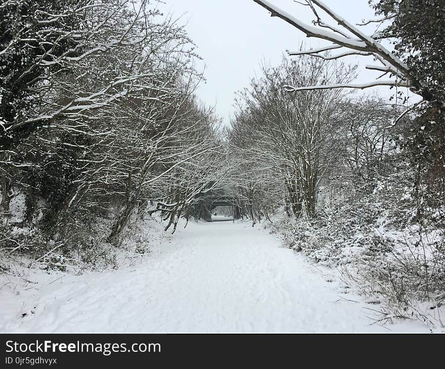 Snow Covered Pathway