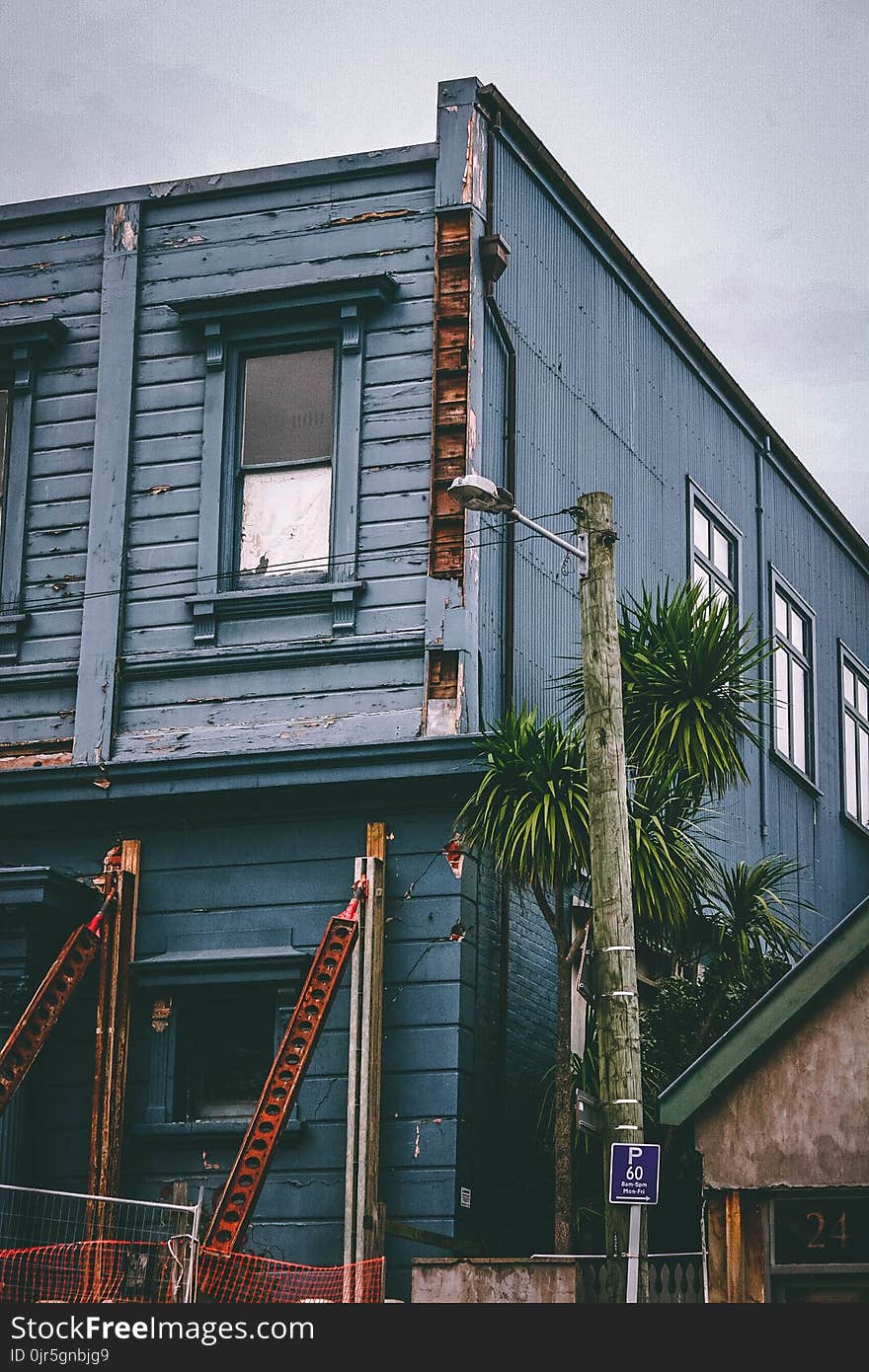 Blue and House and Green Tree