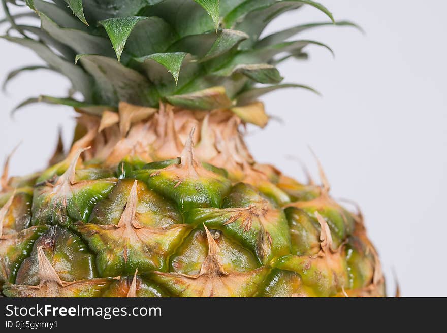 Pineapple Fruit