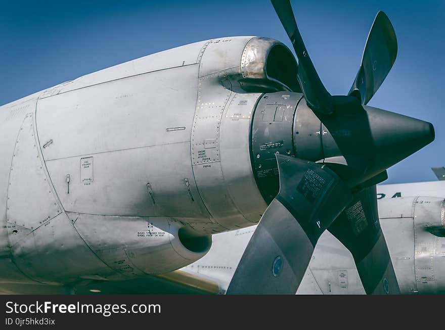 Gray and Black Plane