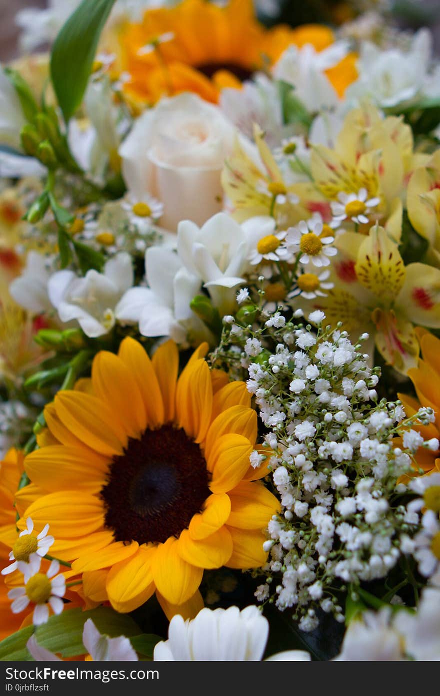 Flower, Yellow, Flower Bouquet, Floristry