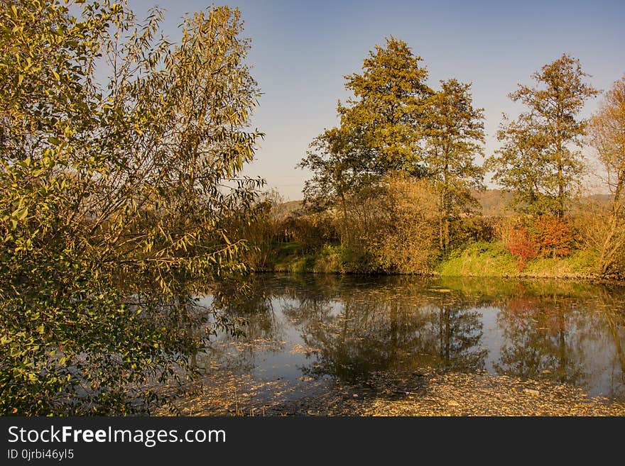 Reflection, Water, Nature, Wetland