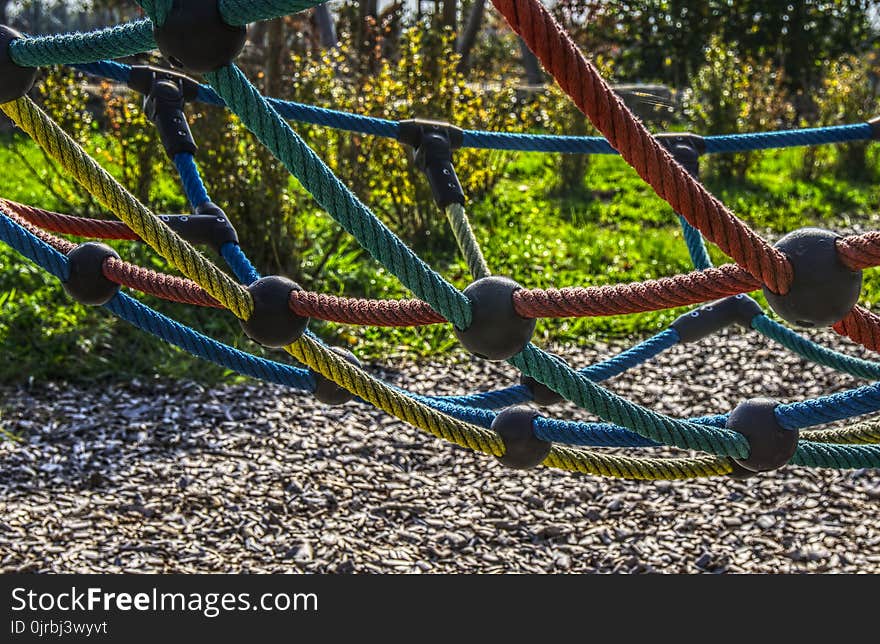 Public Space, Tree, Grass, Playground