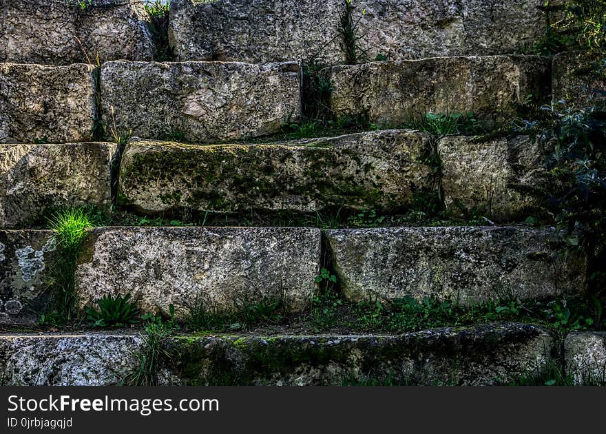 Wall, Grass, Stone Wall, Ruins