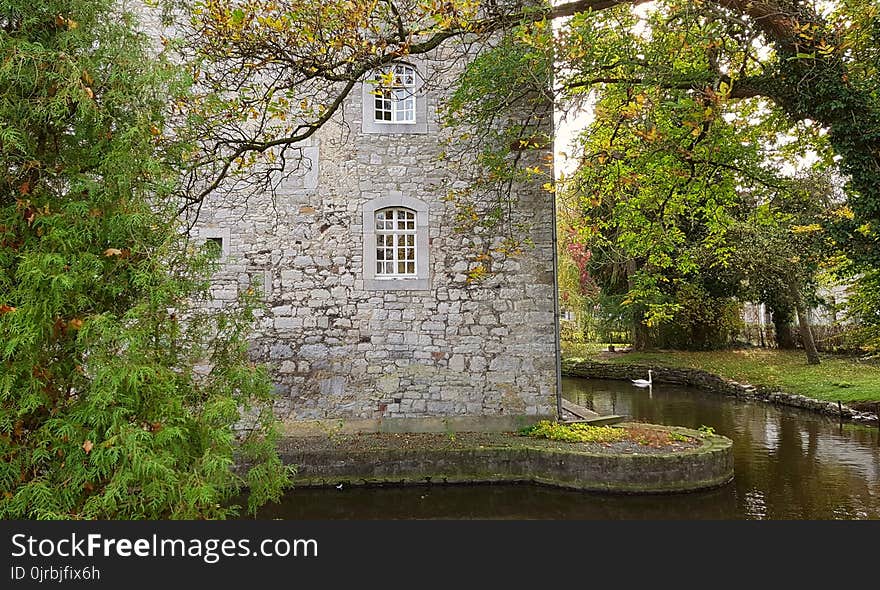 Waterway, Water, Tree, Leaf