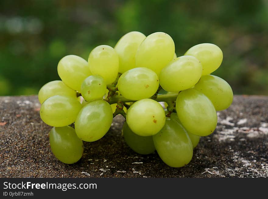 Grapevine Family, Grape, Fruit, Seedless Fruit