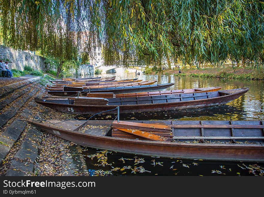 Reflection, Water, Water Transportation, Boat