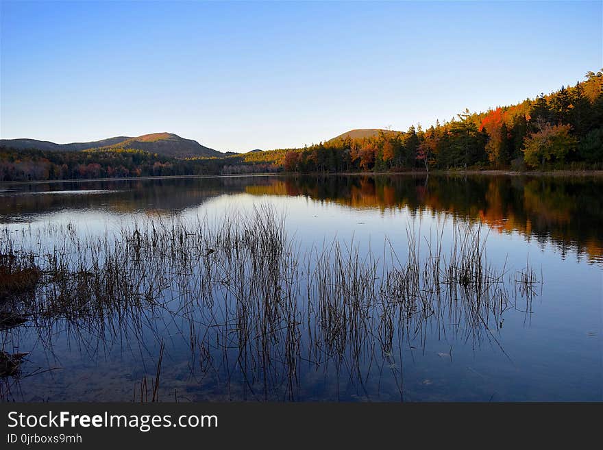 Reflection, Water, Nature, Lake