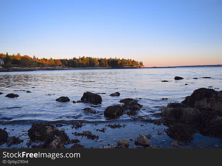 Water, Shore, Body Of Water, Coast