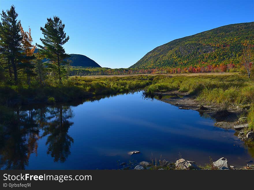 Reflection, Nature, Water, Wilderness