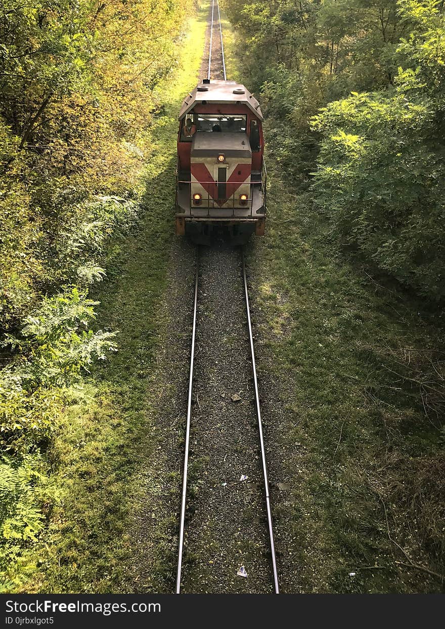 Track, Transport, Rail Transport, Tree