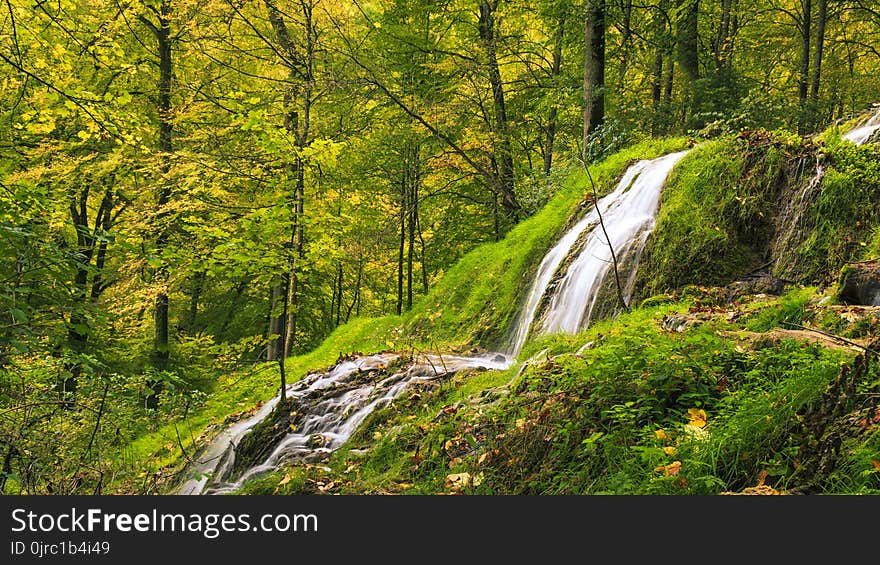 Waterfall, Nature, Nature Reserve, Vegetation