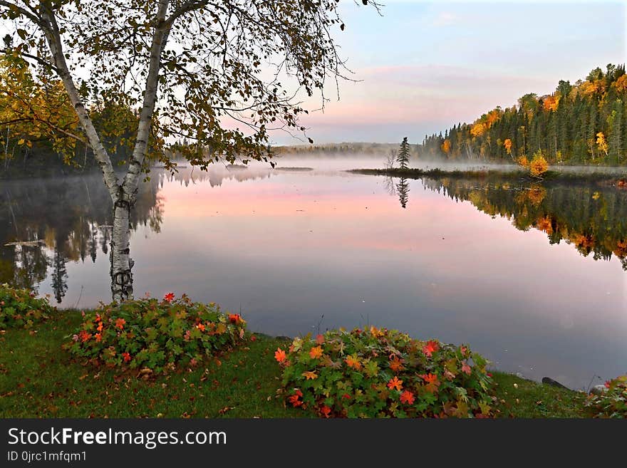 Reflection, Nature, Water, Lake