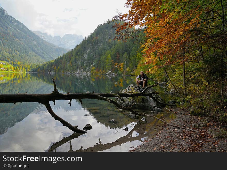 Nature, Wilderness, Leaf, Reflection