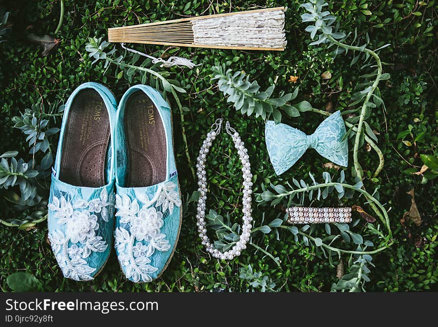 Shoe, Grass, Plant, Outdoor Shoe