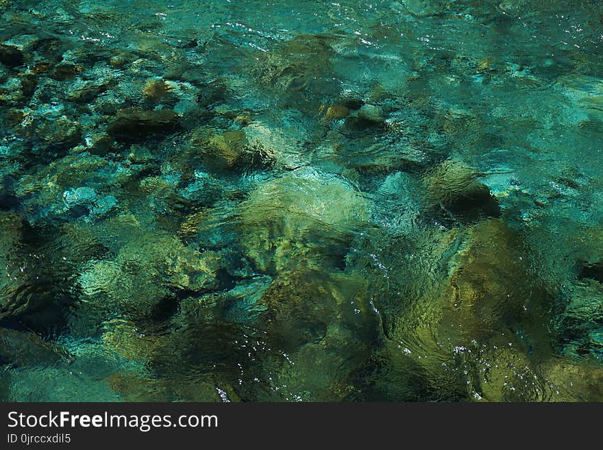 Water, Green, Underwater, Ecosystem