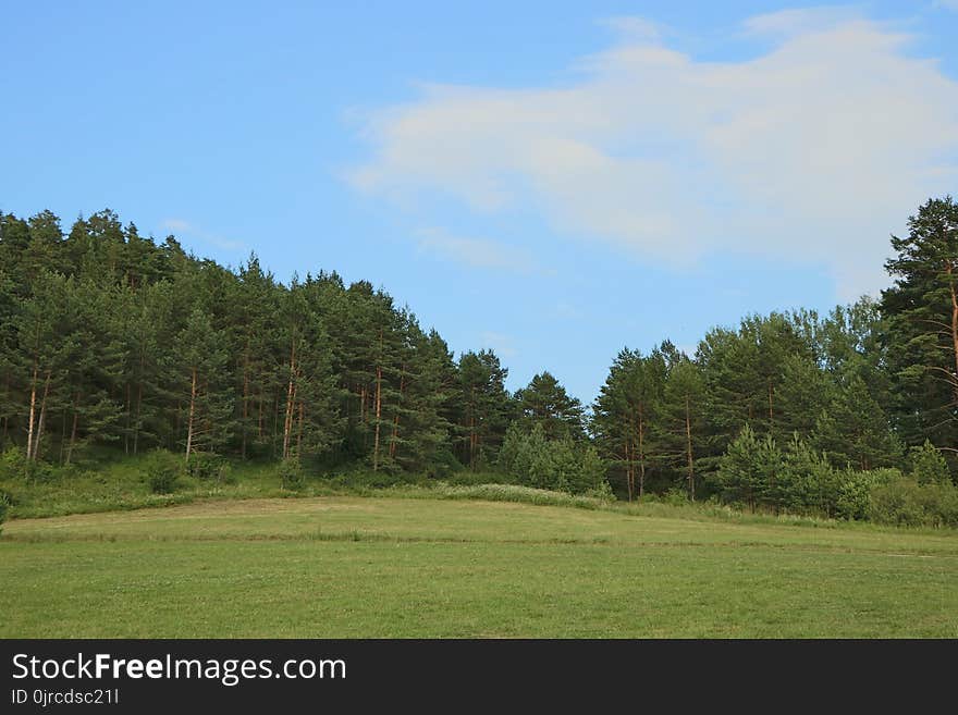 Sky, Grassland, Ecosystem, Vegetation