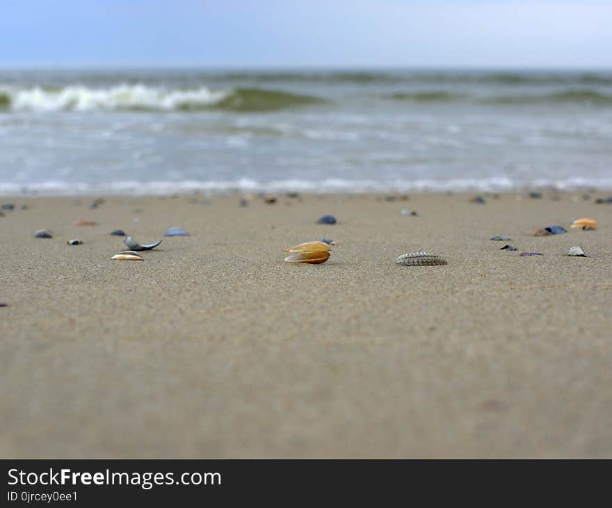 Sea, Body Of Water, Beach, Shore