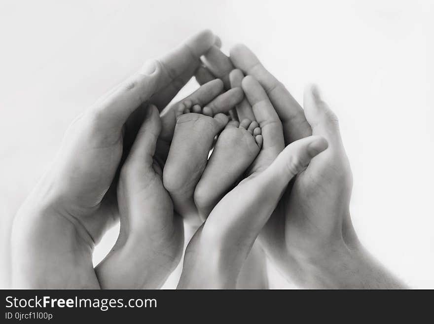 Black And White, Hand, Monochrome Photography, Photography