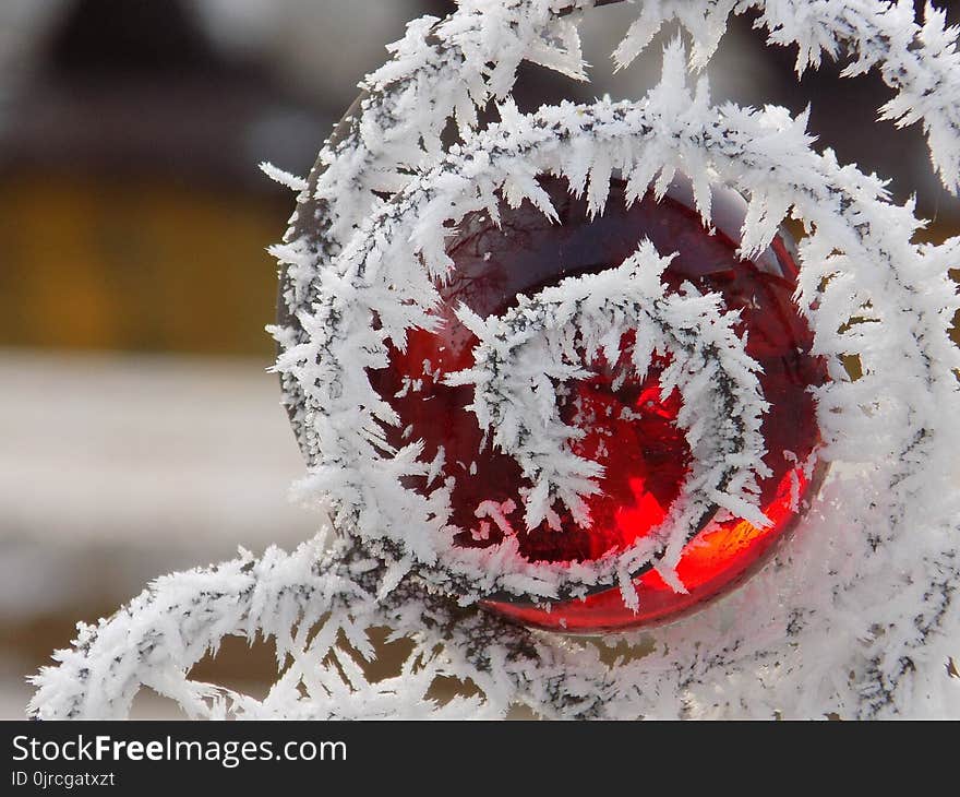 Frost, Winter, Freezing, Snow