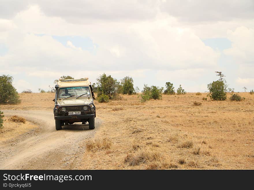 Road, Car, Vehicle, Off Roading