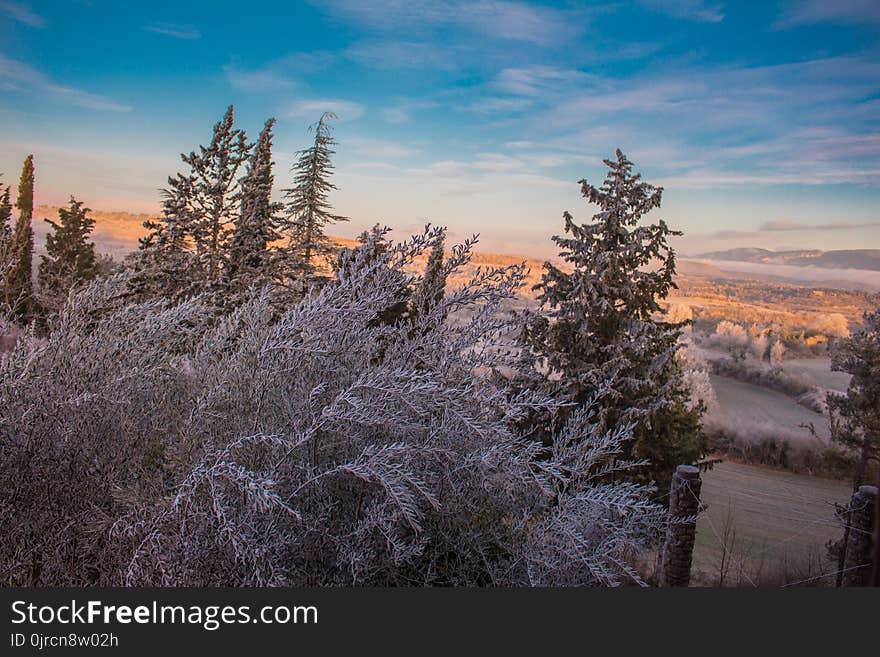 Winter, Sky, Snow, Freezing