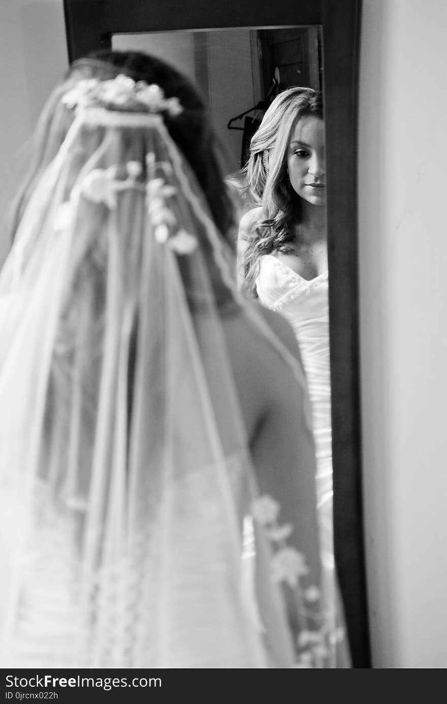 Gown, Bride, Photograph, Wedding Dress