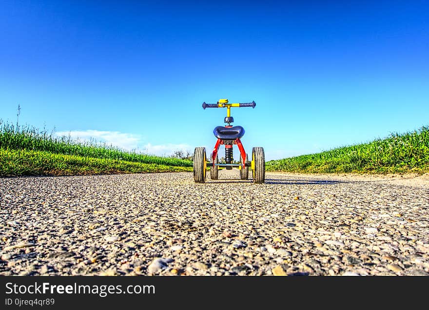 Yellow, Field, Sky, Road