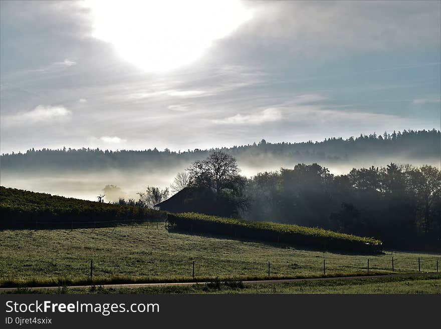 Sky, Mist, Highland, Field