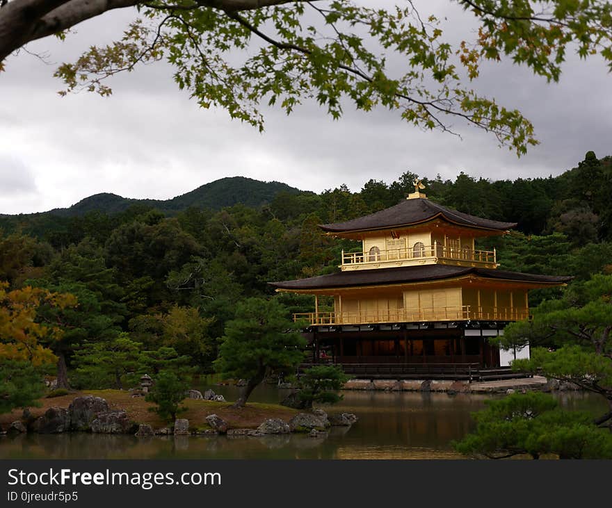 Chinese Architecture, Japanese Architecture, Nature, Reflection