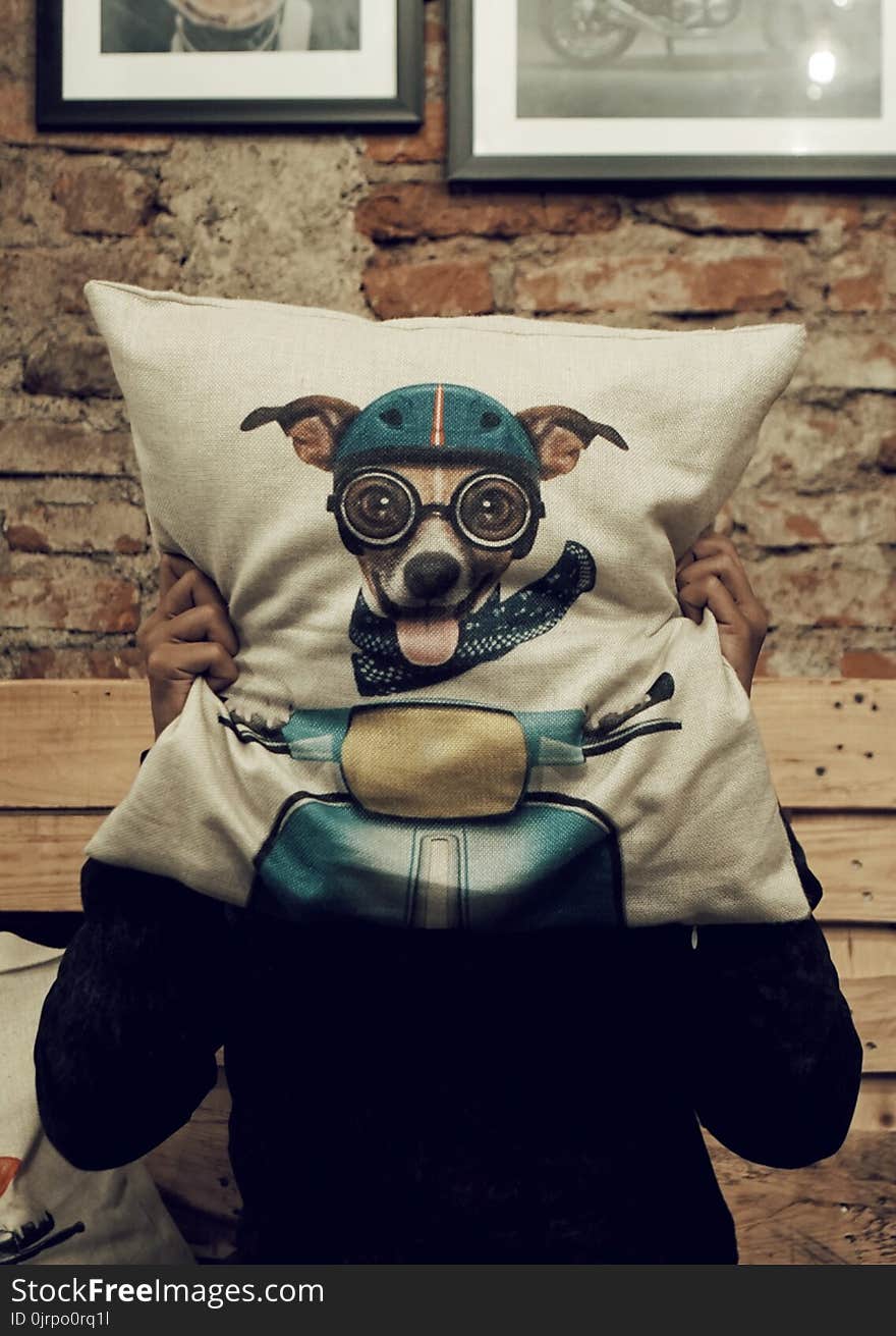 Person Holding Dog Driving Scooter-graphic Throw Pillow