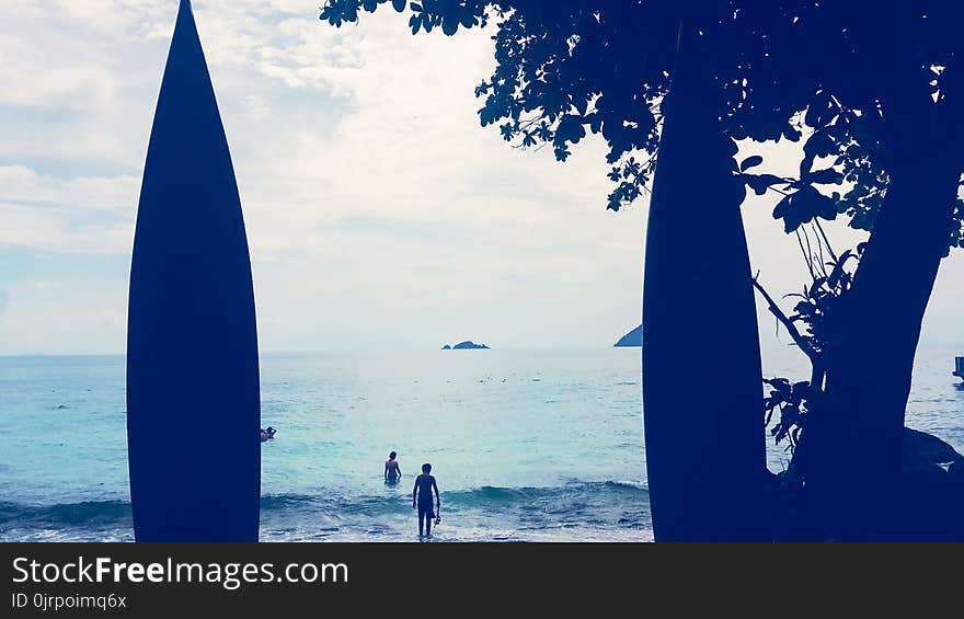 Person Standing in Front of Body of Water Near Tree