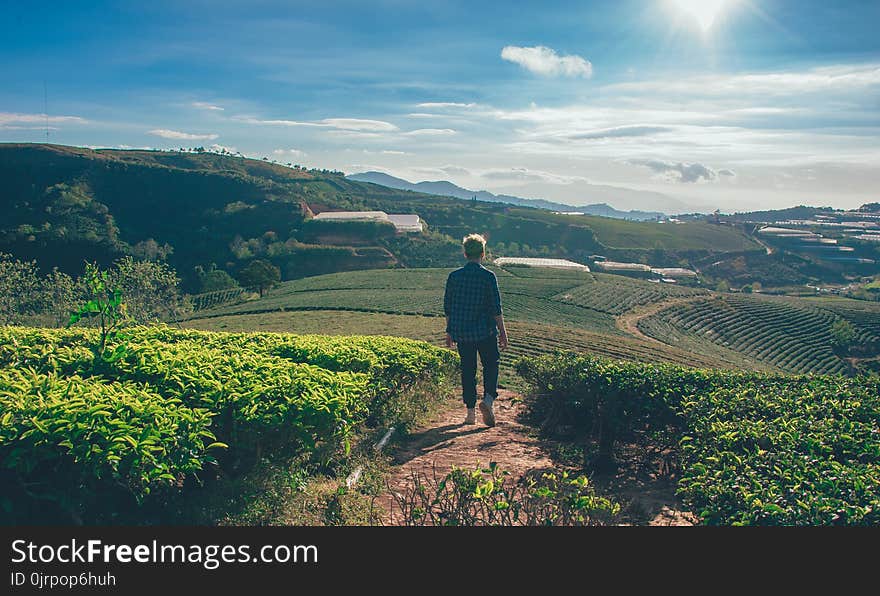 Man Standing in Between Fields