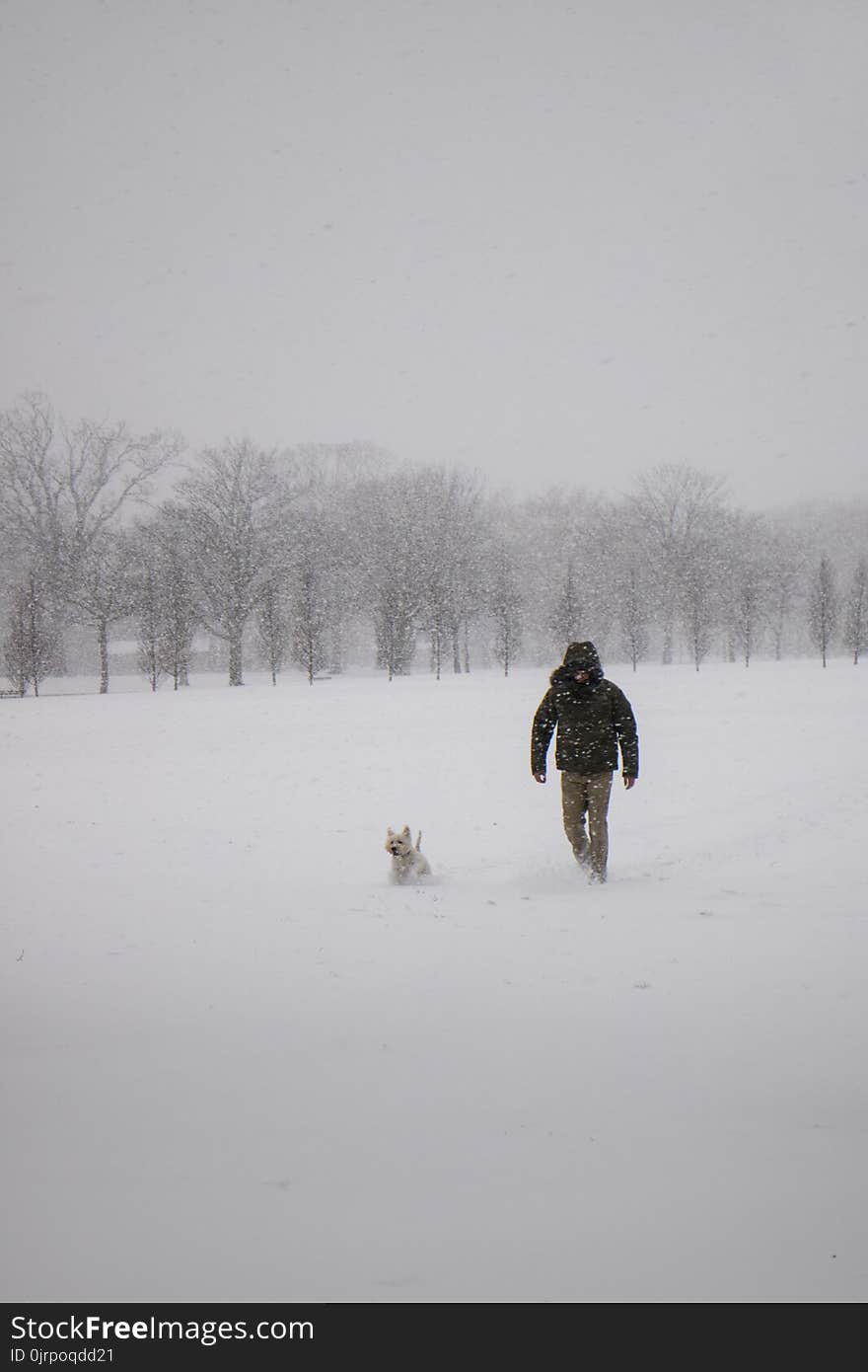 Photo of Man Wearing Black Jacket and Pants Walking on Snow