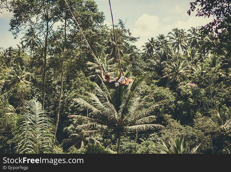 Man Holding on Rope in Forest