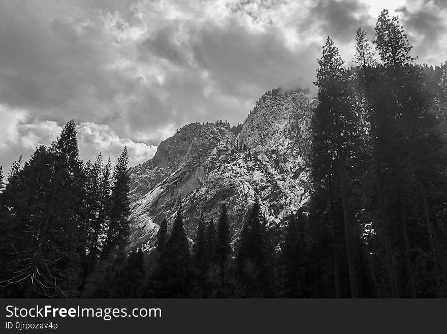 Grayscale Photography of Trees and Mountains Under Cloudy Sky