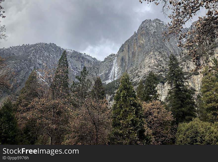 Landscape Photography of Forest Under Mountains