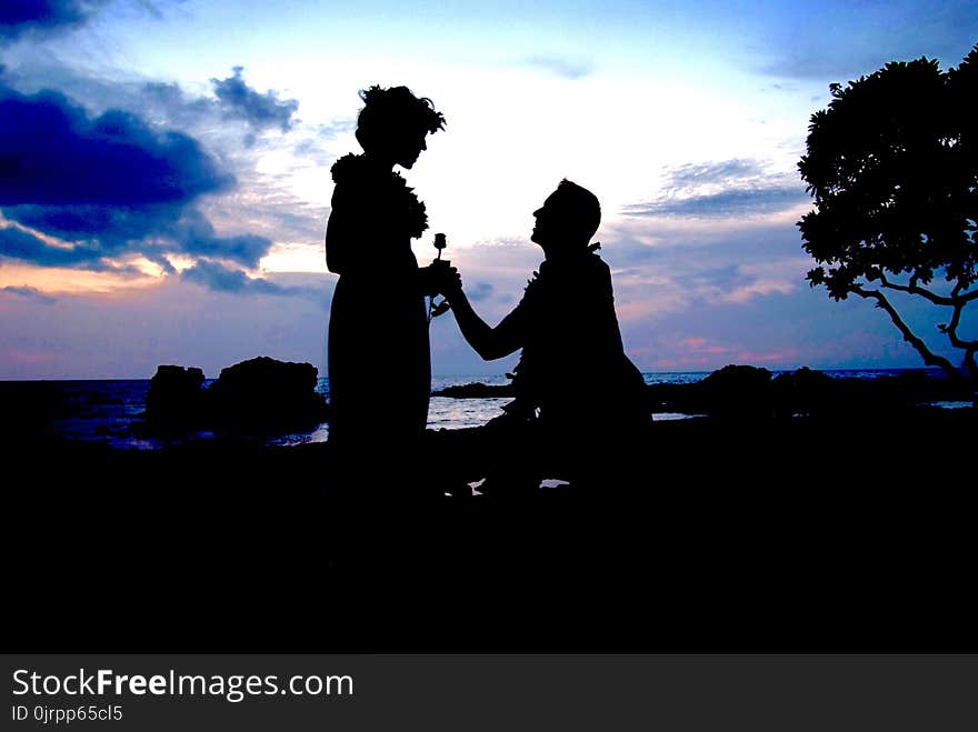 Silhouette Photo of Man Kneeling in Front of Woman Giving Flower