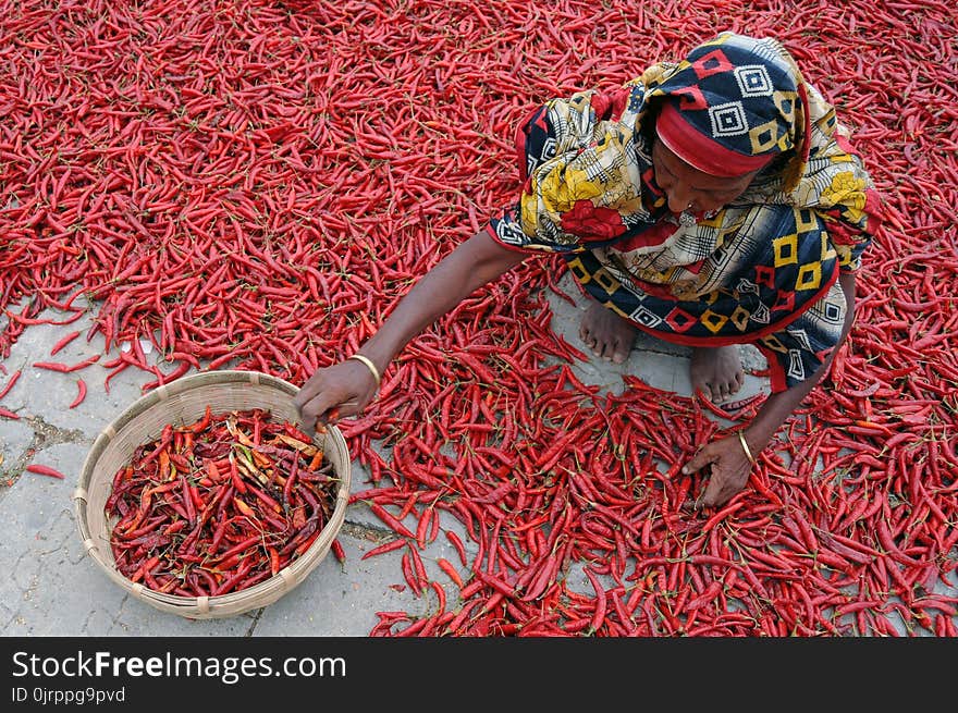 Woman Sitting on Floor of Red Chili