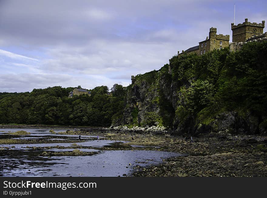 Green Leaved on Mountain With Castle