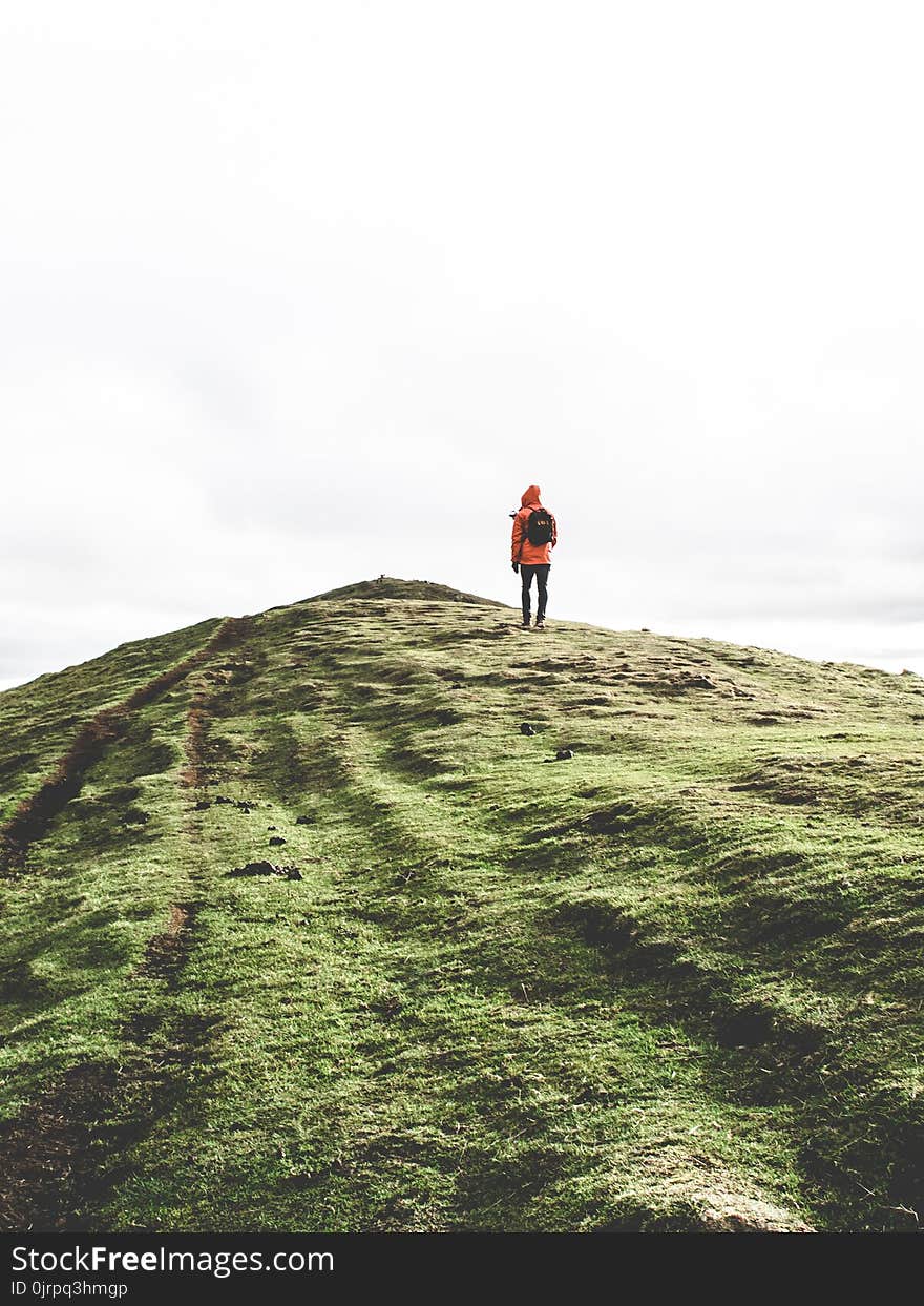 Person Wearing Orange Hoodie Standing on Green Mountain Under White Sky