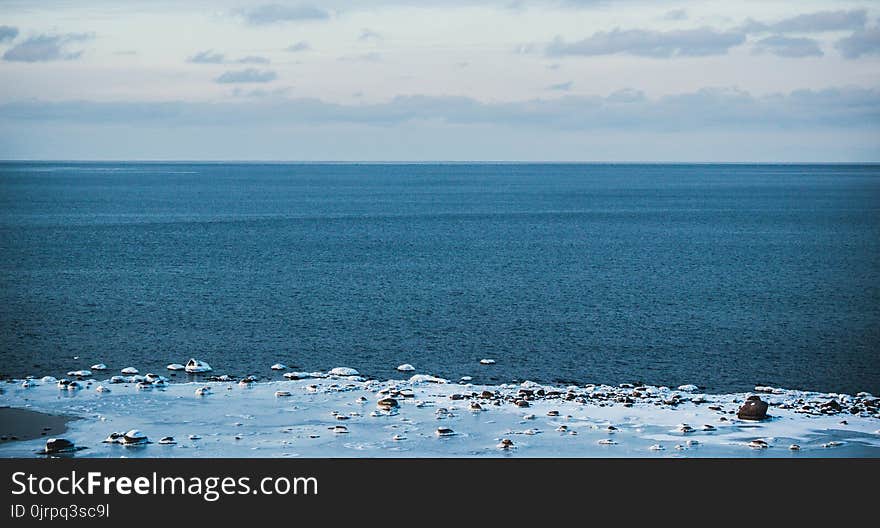 Ice Covered Shore