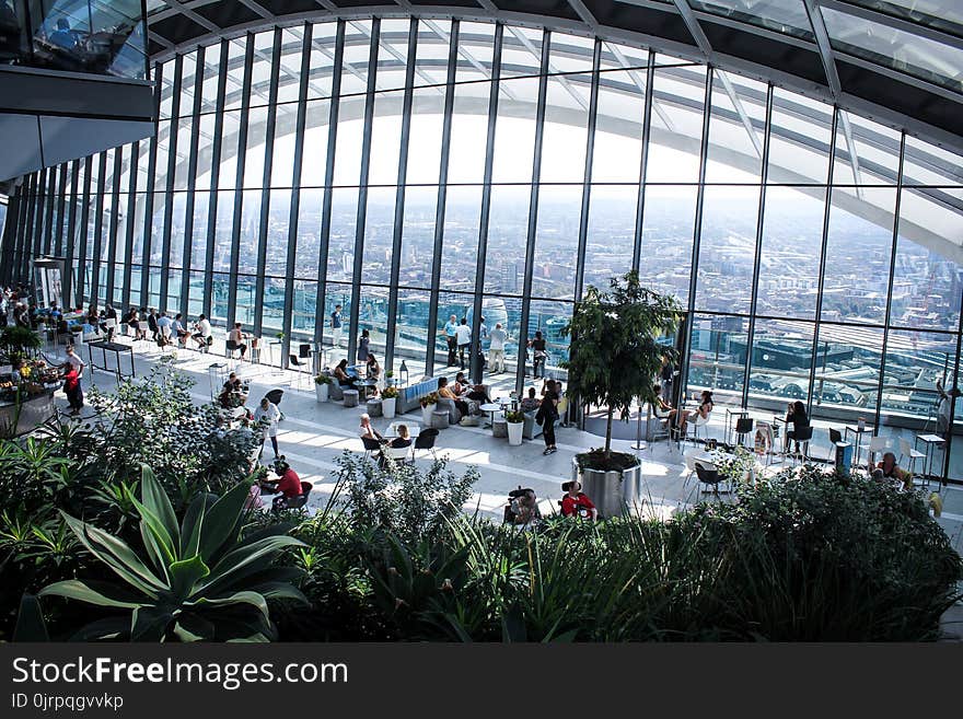 Person Sitting Inside Gray Framed Clear Glass Wall Building