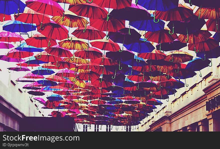 Red, Blue, and Orange Umbrella Lot