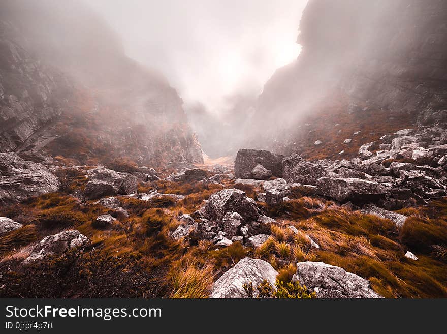 Gray Stones in Grassy Mountains during Foggy Day