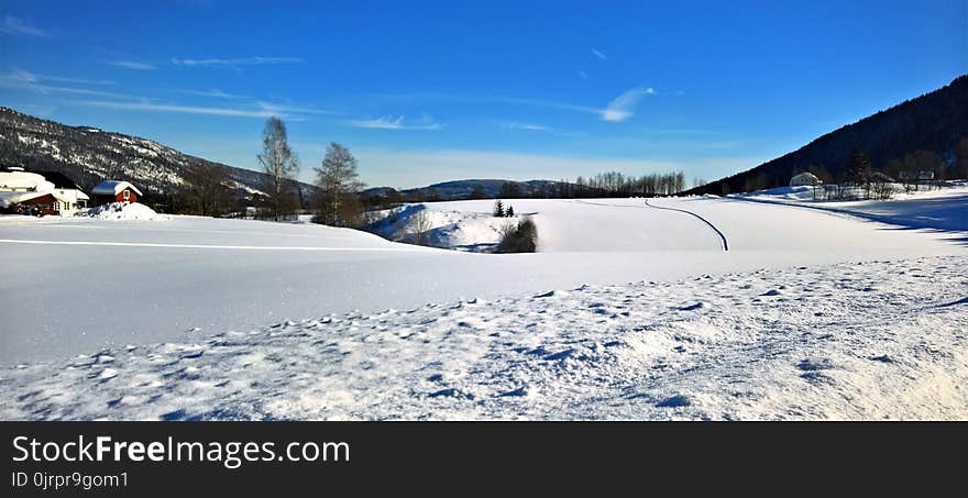 Photo of Snow Near Tress