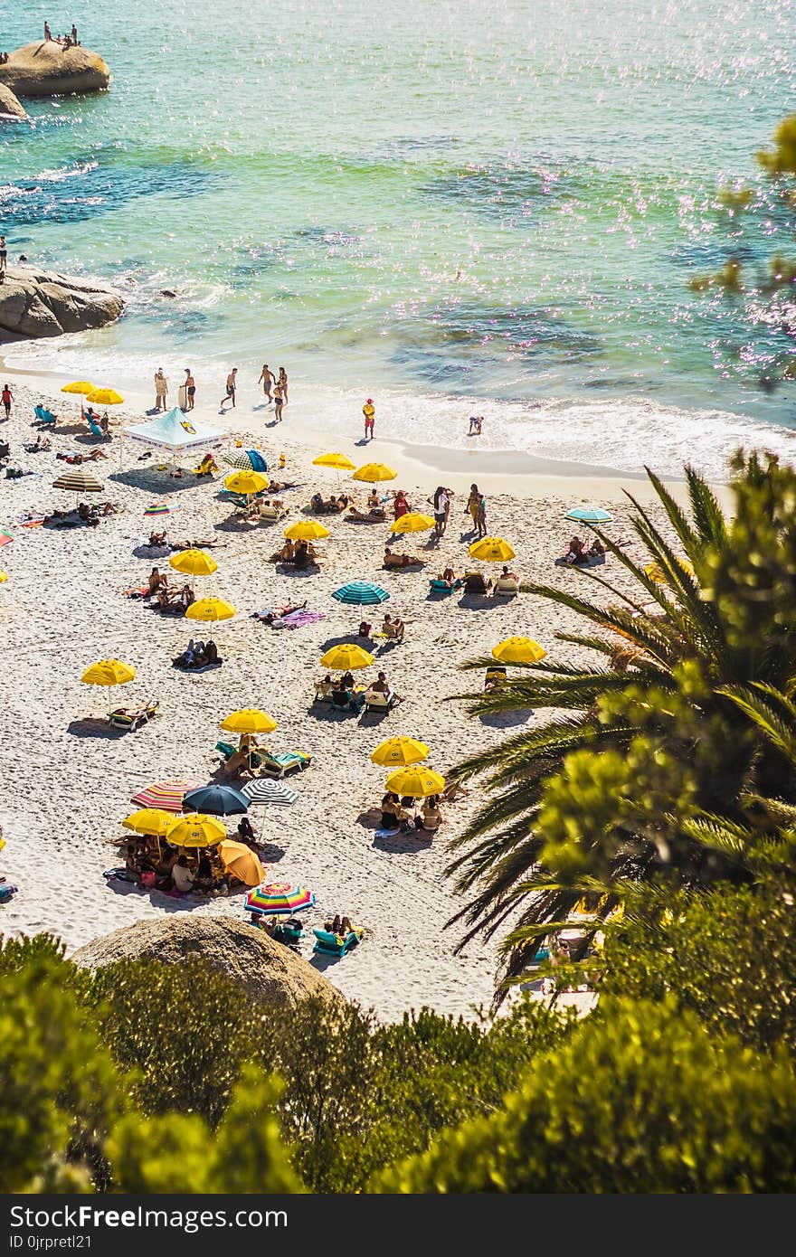 People Sunbathing and Swimming on Seashore