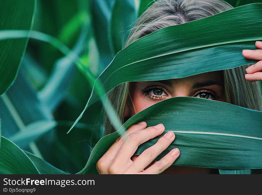 Woman Covering Her Face With Corn Leaves